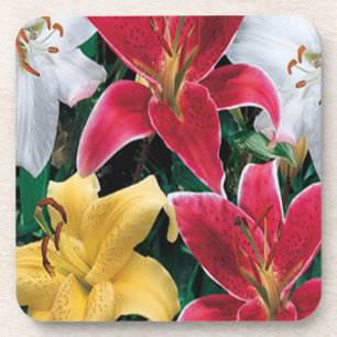 Colourful Flowers Coasters