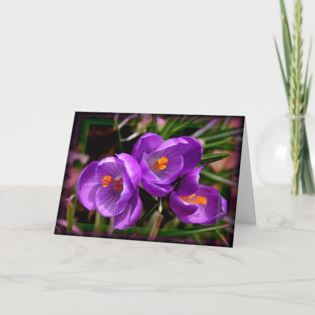 [Colourful Flowers] Crocus vernus  - Any Occasion Card (Front)