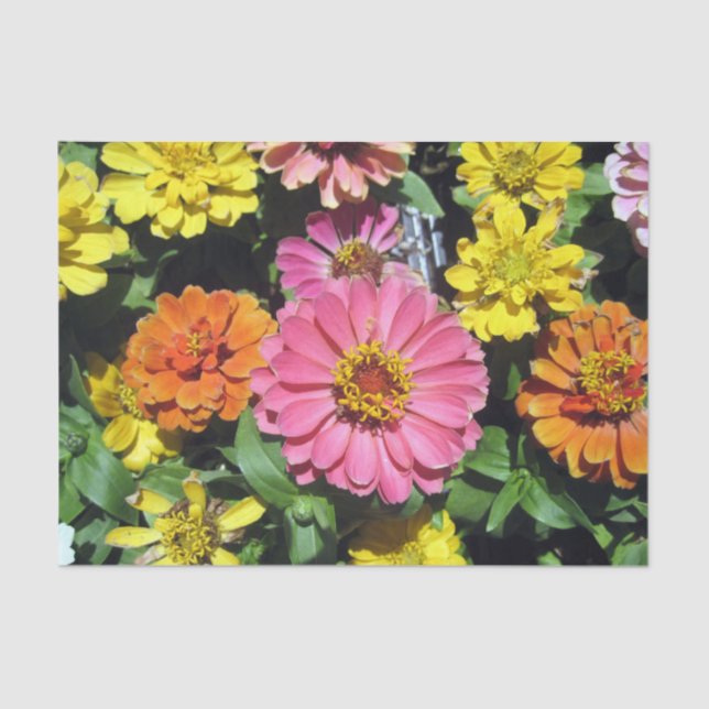 Colourful Flowers Custom 10lb Tissue Paper, White Tissue Paper (Front)