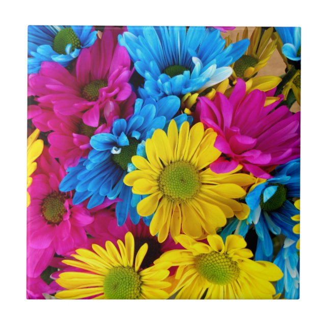 Colourful Flowers, Daisies - Blue Yellow Pink Tile (Front)