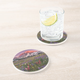 Colourful Flowers in Rainier National Park Coaster
