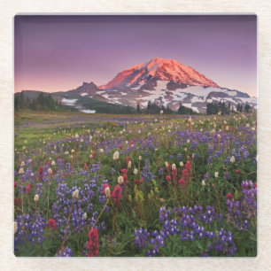 Colourful Flowers in Rainier National Park Glass Coaster