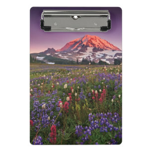 Colourful Flowers in Rainier National Park Mini Clipboard