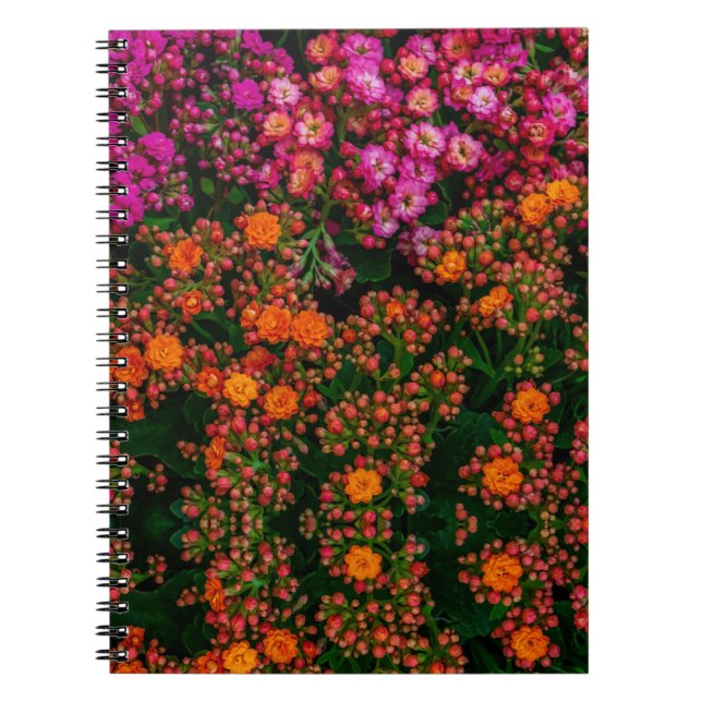 Colourful Flowers  Notebook (Front)