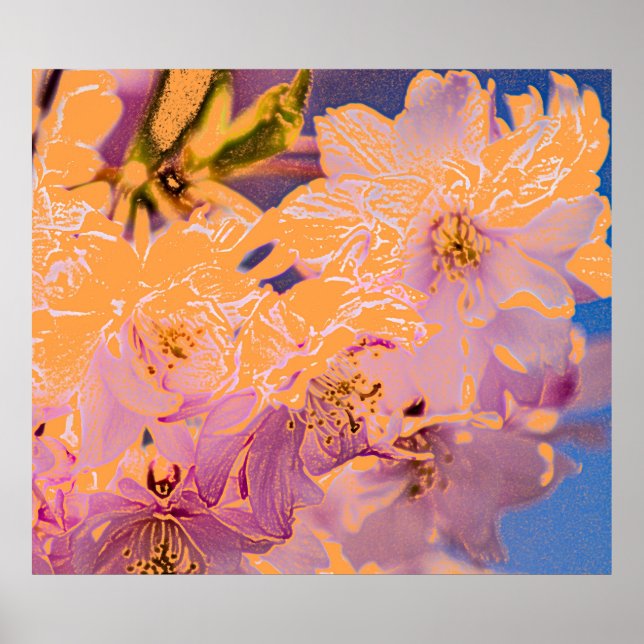 Colourful Flowers Print (Front)