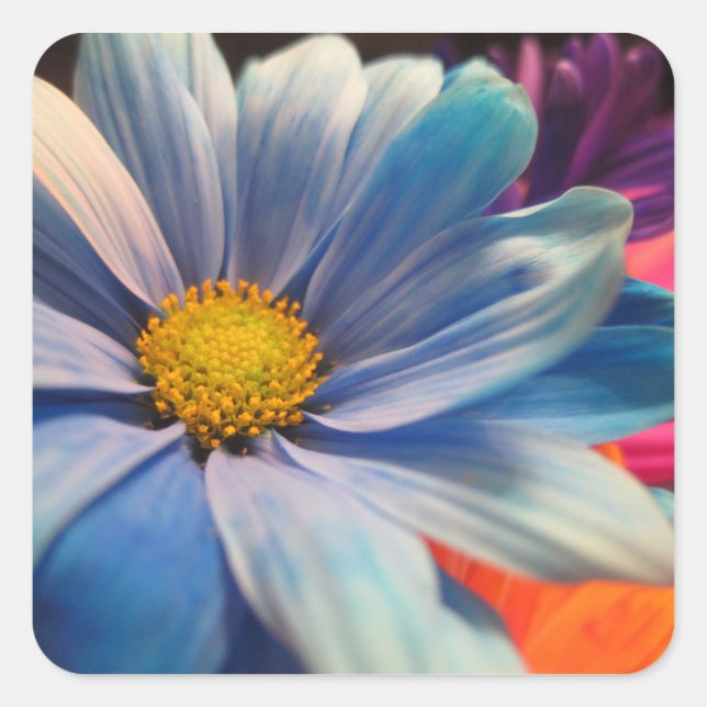 Colourful Flowers Square Sticker (Front)