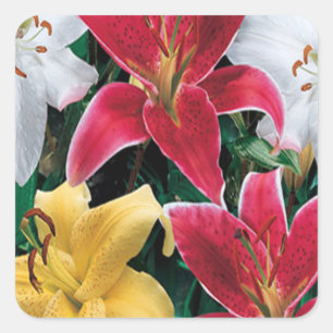 Colourful Flowers Stickers