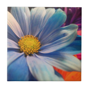 Colourful Flowers Tile