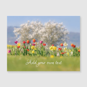 Colourful Flowers Tulips + Daffodils  Magnetic Car