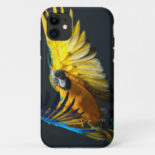 Colourful flying Ara on a dark background iPhone 11 Case