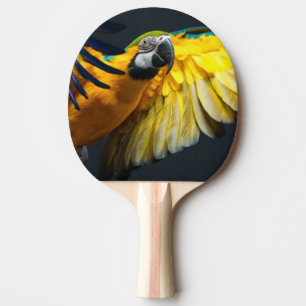 Colourful flying Ara on a dark background Ping Pong Paddle