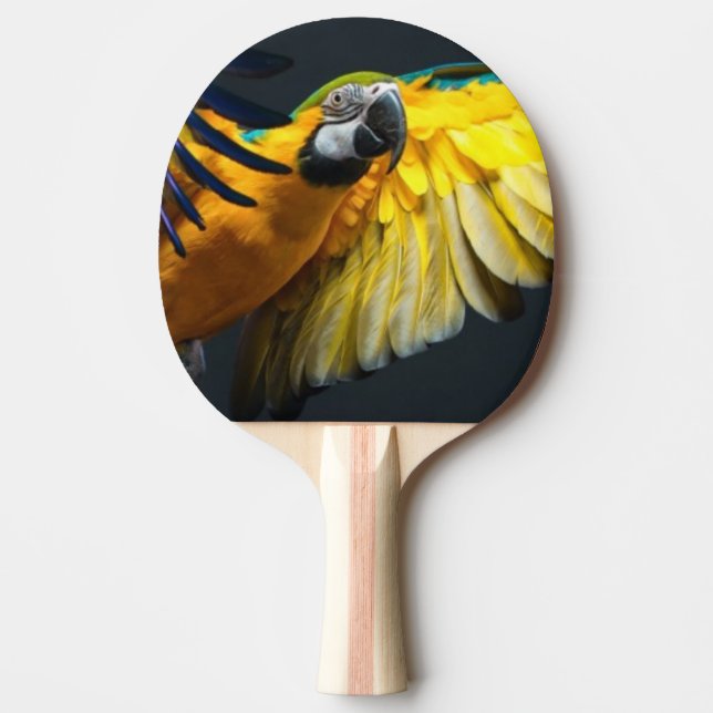 Colourful flying Ara on a dark background Ping Pong Paddle (Front)
