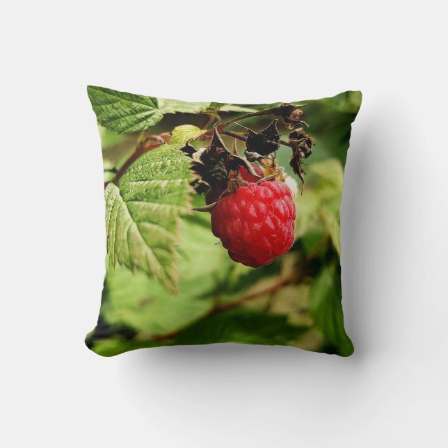 Colourful Fruits And Vegetables Cushion (Front)