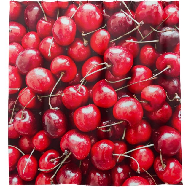 Colourful Fruits Shower Curtain (Front)