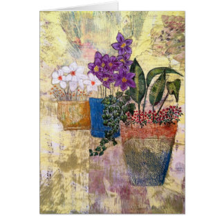 Colourful Garden Flowers