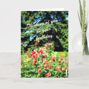 Colourful Garden Flowers for a Special Person Card