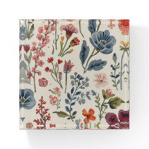 Colourful Garden Flowers Wildflower Spring Meadow