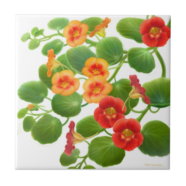 Colourful Garden Nasturtium Flowers Tile (Front)