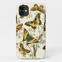Colourful Gathering of Butterflies and