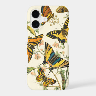 Colourful Gathering of Butterflies and Caterpillar
