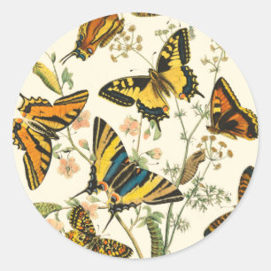 Colourful Gathering of Butterflies and Caterpillar Classic Round Sticker