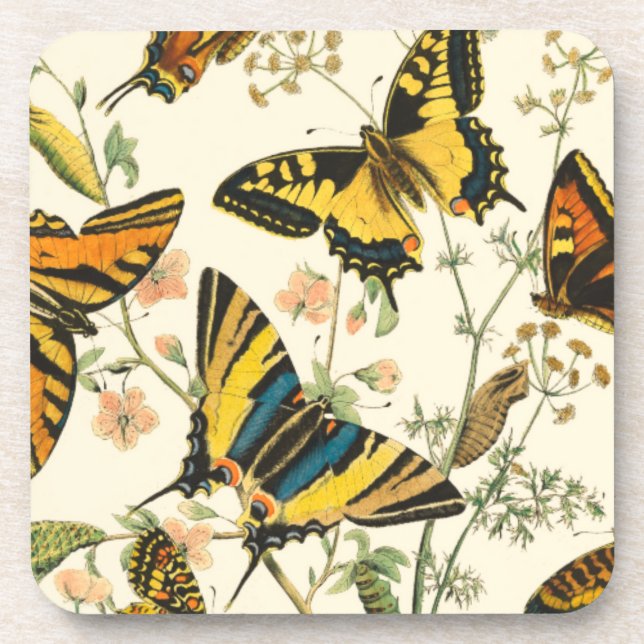Colourful Gathering of Butterflies and Caterpillar Coaster (Front)