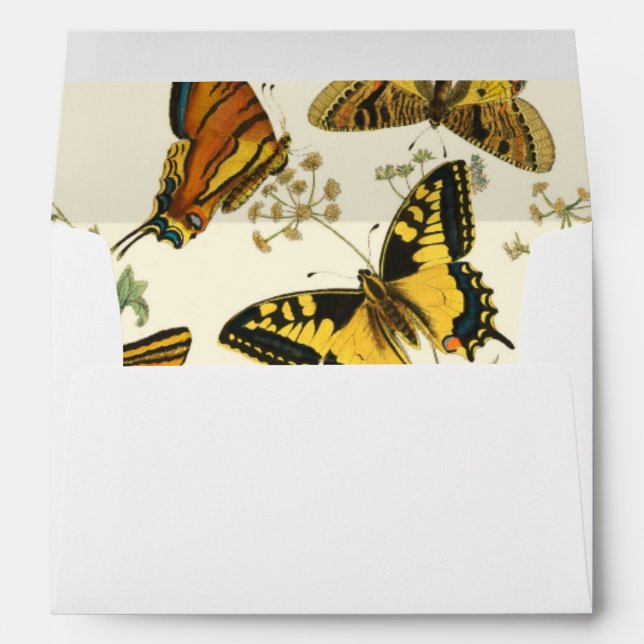 Colourful Gathering of Butterflies and Caterpillar Envelopes (Back (Bottom))