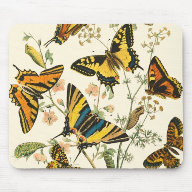 Colourful Gathering of Butterflies and Caterpillar Mouse Mat (Front)