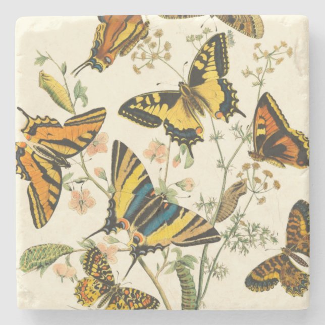 Colourful Gathering of Butterflies and Caterpillar Stone Coaster (Front)