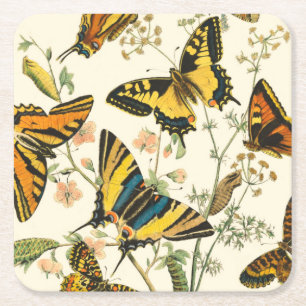 Colourful Gathering of Butterflies and Square Paper Coaster