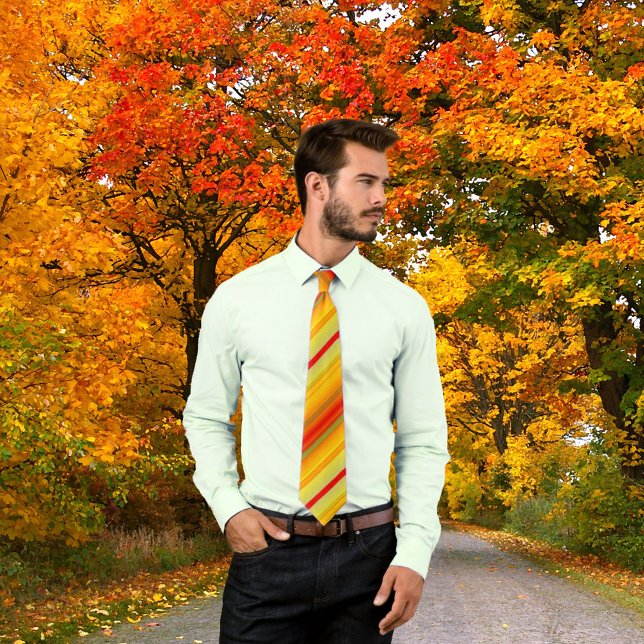 Colourful Geometric Striped Pattern Tie (Creator Uploaded)