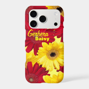 Colourful Gerber Daisy Close-Up Photos Personalise