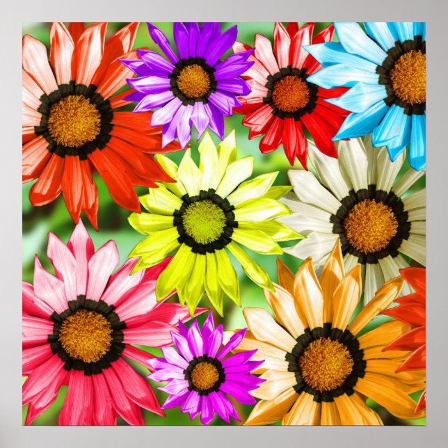 Colourful gerbera flower floral design poster (Front)