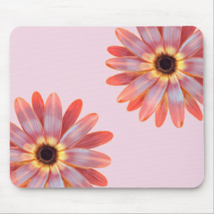 Colourful Gerbere Daisy Floral Mouse Pad