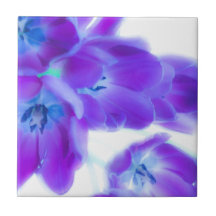 Colourful, girly, romantic, purple tulips