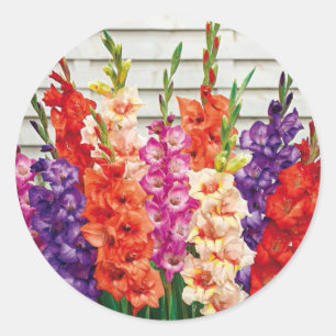Colourful Gladiolas Envelope Seal Sticker