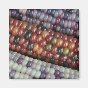 Colourful Glass Gem Corn on the Cob Magnet