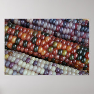 Colourful Glass Gem Corn on the Cob. Poster