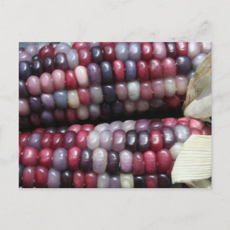 Colourful Glass Gem Corn. Postcard