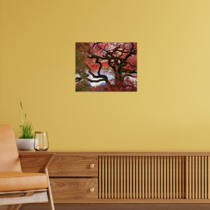 Colourful Gnarly Japanese Maple Tree Poster