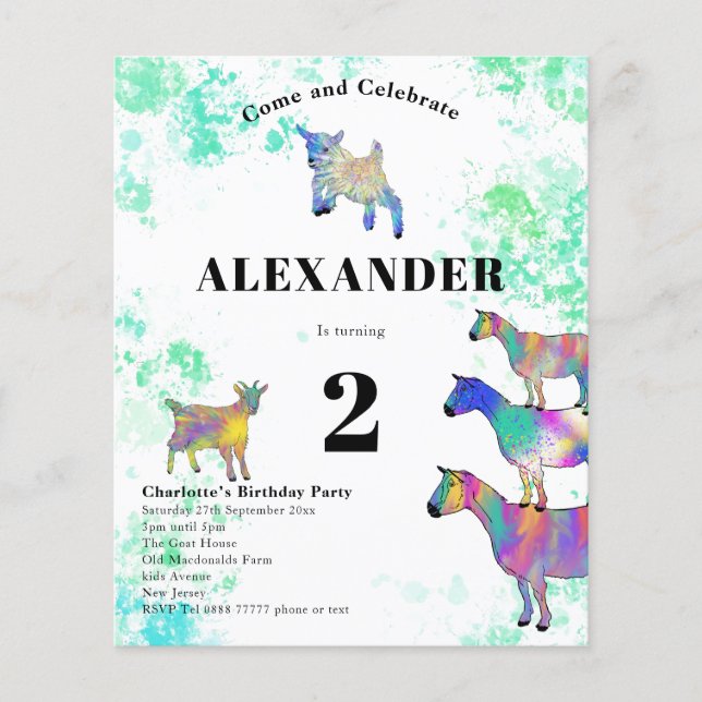 Colourful Goats Birthday Party Budget Flyer (Front)