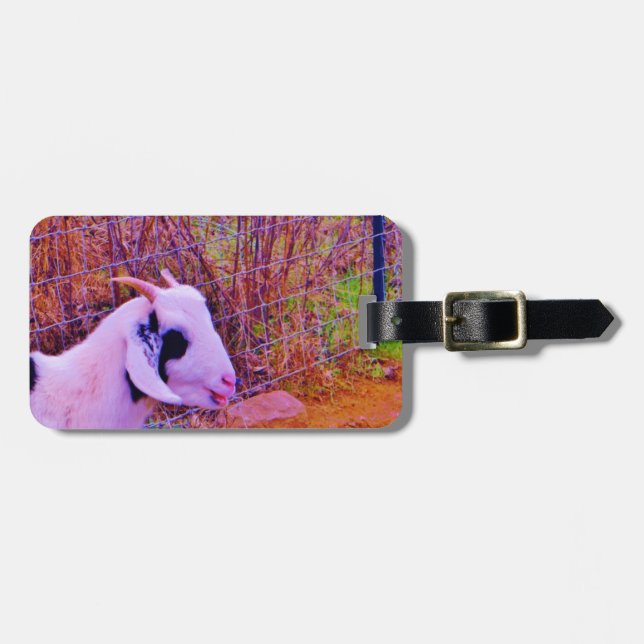 Colourful Goats Luggage Tag (Front Horizontal)
