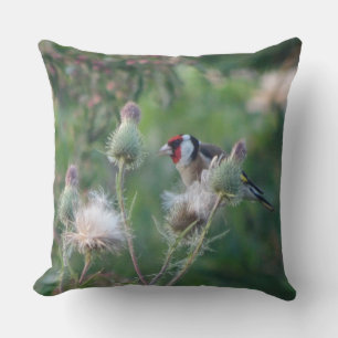 Colourful Goldfinch on Thistle Throw Pillow