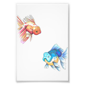 Colourful Goldfish Print