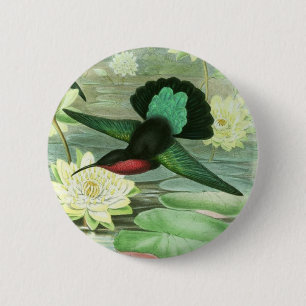 Colourful Gould Hummingbird Round Button Pin