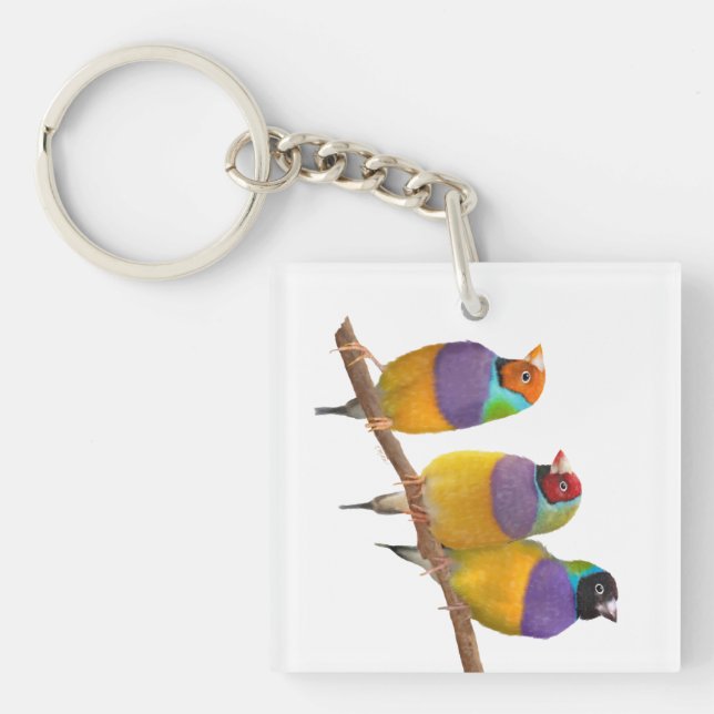 Colourful Gouldian Finches in Pastels Key Ring (Front)