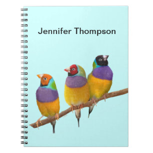 Colourful Gouldian Finches in Pastels Notebook