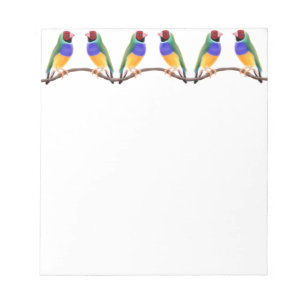 Colourful Gouldian Finches Notepad