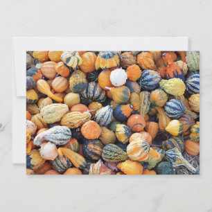 Colourful Gourds A Invitation