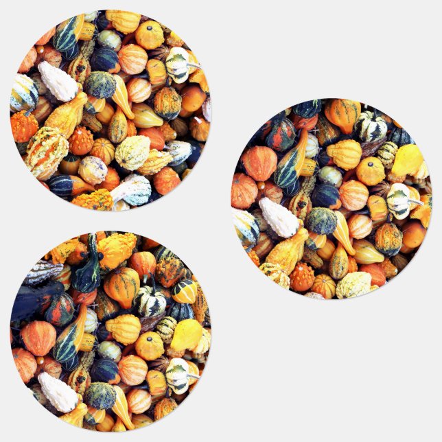 Colourful Gourds C  (Group)